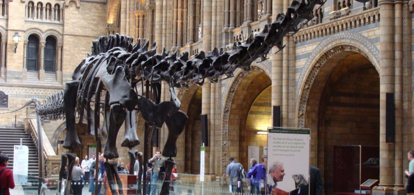 Tech Trends Dippy the Dino App Natural History Museum London Naturenauts