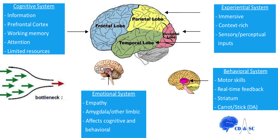 Brain Diagram Tech Trends.jpg
