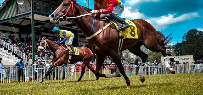 How To Increase Your Odds In Online Horse Race Betting - Tech Trends