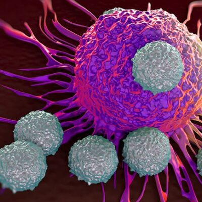 Illustration of immune system antibodies attacking cancer cells