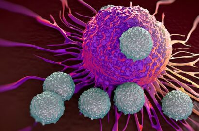 Illustration of immune system antibodies attacking cancer cells