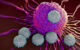Illustration of immune system antibodies attacking cancer cells