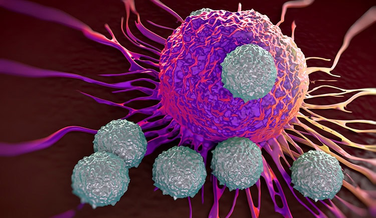 Illustration of immune system antibodies attacking cancer cells